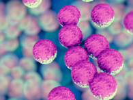 500x500_practice-patient-care_health-issues_skin-disease