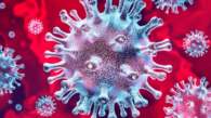 banner-coronavirus